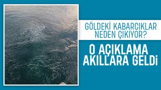 Sapanca Gölü'nde kaydedilen kabarcıklar gizemini koruyor