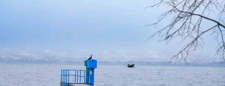 Sapanca Gölü'nde yükseliş yavaşladı