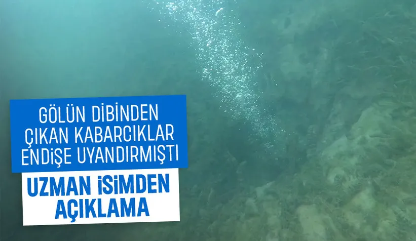Sapanca Gölü'ndeki endişelendiren kabarcıkların nedeni ne? Açıklama geldi