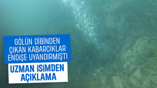 Sapanca Gölü'ndeki endişelendiren kabarcıkların nedeni ne? Açıklama geldi