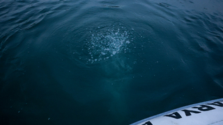 Sapanca Gölü'ndeki kabarcıklar endişe oluşturmuştu; SASKİ açıklama yaptı