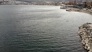 Sapanca Gölü'nden sevindirici haber