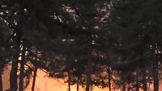 Sapanca gölü'nden su alıp Ankara'daki yangına müdahale etti