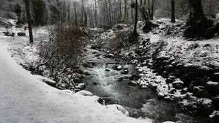 Sapanca Gölü'nü besleyen derelerin debisi kar yağışı ile yükseldi