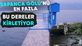 Sapanca Gölü'nü besleyen derelerin su kalitesi araştırıldı