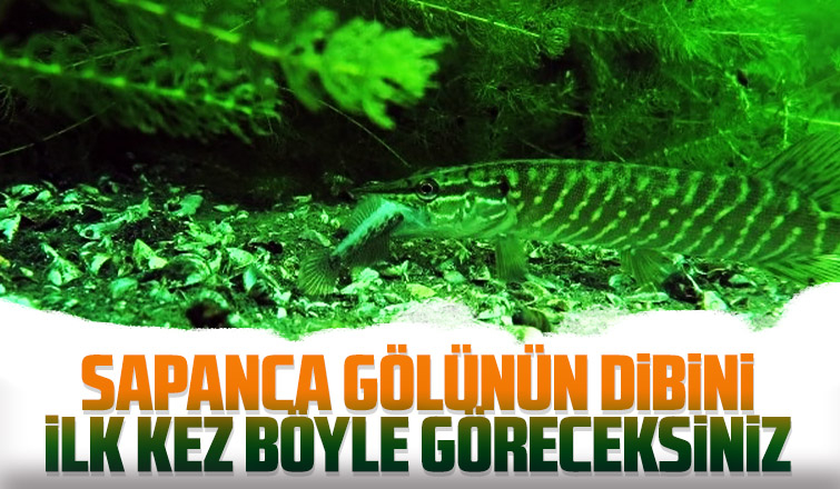 Sapanca Gölü'nün dibini ilk kez böyle göreceksiniz