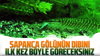 Sapanca Gölü'nün dibini ilk kez böyle göreceksiniz