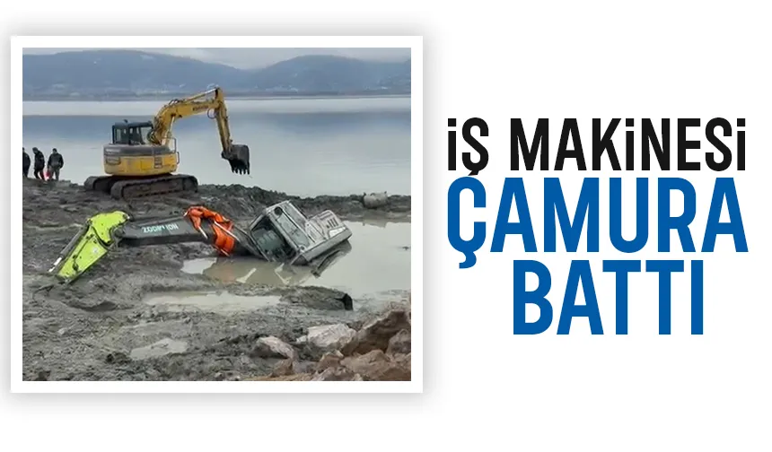 Sapanca Gölü sahilinde ilginç olay: Çamura battı