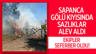 Sapanca Gölü’nde Sazlık Yangını Paniği!
