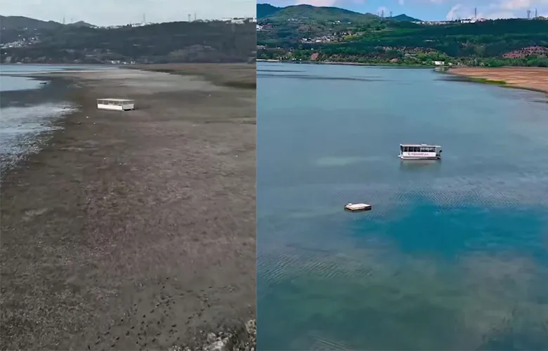 Sapanca Gölü’nde yüz güldüren değişim fotoğraflara yansıdı