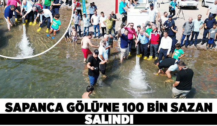 Sapanca Gölü’ne 100 bin sazan salındı