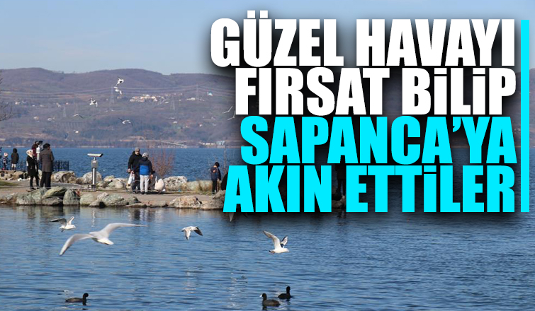 Sapanca sahiline akın ettiler