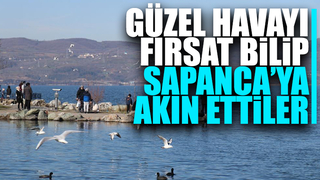 Sapanca sahiline akın ettiler