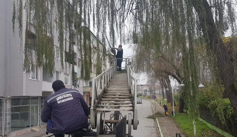 Sapanca’da mevsimsel bakım