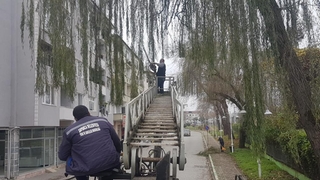 Sapanca’da mevsimsel bakım