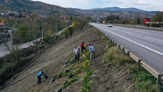 Sapanca’da Ses Perdesi Projesine başlandı