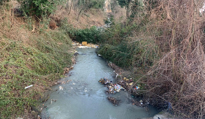 Sapanca’yı besleyen dereler temiz akıyor