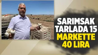 Sarımsağın fiyatı markete gelene kadar 2 kat yükseliyor