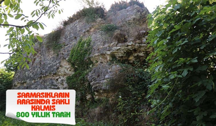 Sarmaşıkların arasında saklı kalmış 800 yıllık tarih
