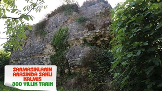 Sarmaşıkların arasında saklı kalmış 800 yıllık tarih