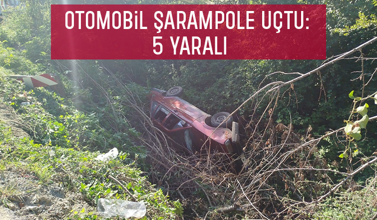 Şarampole uçan araçta 5 kişi yaralandı
