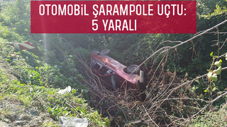 Şarampole uçan araçta 5 kişi yaralandı