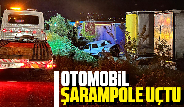 Şarampole uçan araçtan yaralı kurtuldu