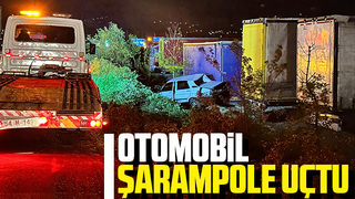 Şarampole uçan araçtan yaralı kurtuldu
