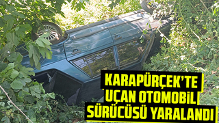 Şarampole uçan otomobil sürücüsü yaralandı