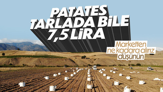 Satış fiyatı artan patates çiftçiyi sevindirdi