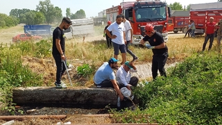 Satmak için getirdiği kurbanlığı rögar çukuruna düştü