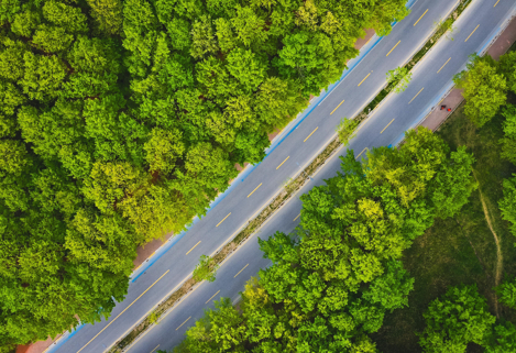 SAÜ dünyanın en çevreci 14'üncü üniversitesi