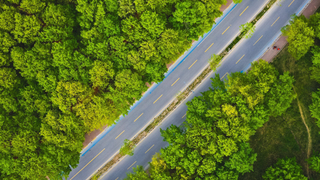 SAÜ dünyanın en çevreci 14'üncü üniversitesi