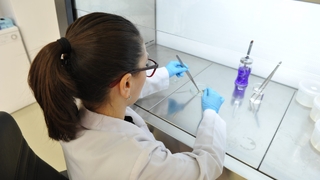 SAÜ en başarılı üniversiteler arasında