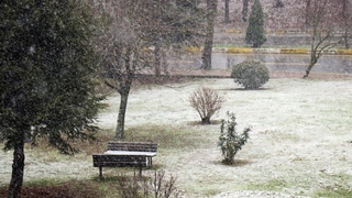 SAÜ Kampüsü beyaza büründü