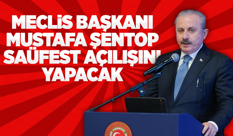  SAÜFEST açılışını yapacak