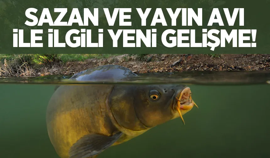 Sazan ve yayın avında yeni gelişme