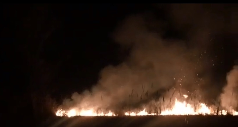 Sazlık yangını itfaiyecilere zor anlar yaşattı