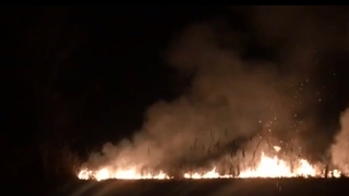 Sazlık yangını itfaiyecilere zor anlar yaşattı