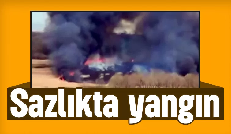Sazlıklar yandı