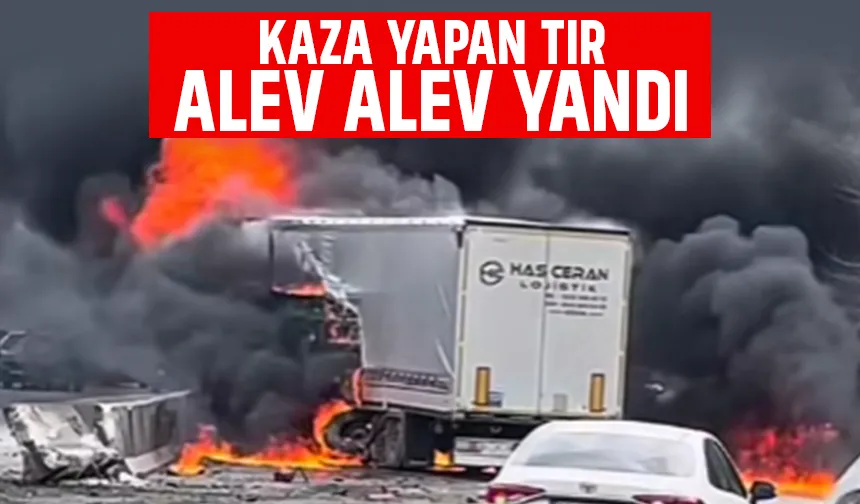 D-650'de kaza yapan tır yandı