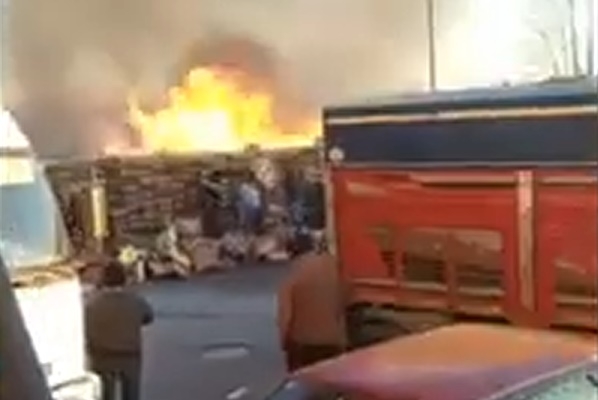 Sebze halinde panik anları