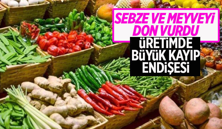 Sebze ve meyveyi don vurdu