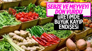 Sebze ve meyveyi don vurdu