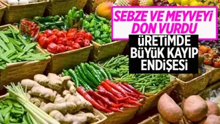 Sebze ve meyveyi don vurdu