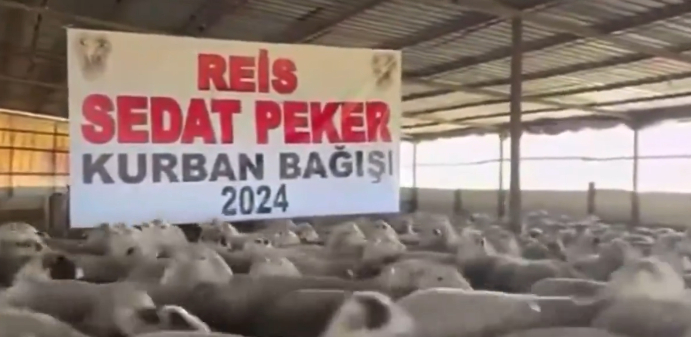 Sedat Peker adına kurban bağışı yapıldı