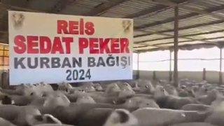 Sedat Peker adına kurban bağışı yapıldı