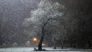 Şehirden kartpostallık fotoğraflar