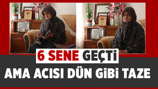 Şehit Kaymakamın annesi konuştu: Ağlamadığım bir gün bile olmadı