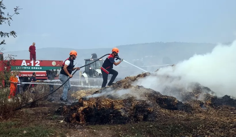 Şehri dumana boğdular